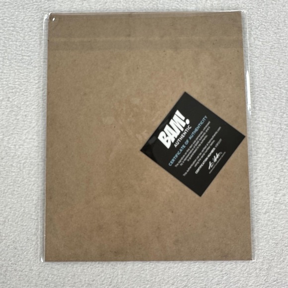 AMANDA WYSS Autographed Signed BAM COA 8x10 Photo Actress Ridgemont High Lisa - Picture 4 of 6